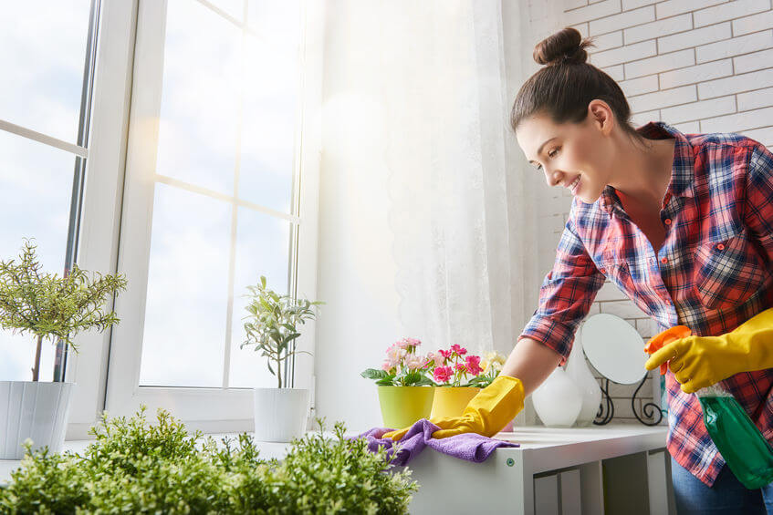 Speed Cleaning: How to Get a Clean House Quick